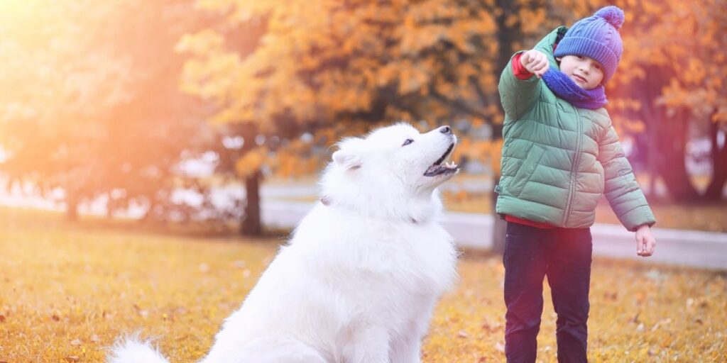 kid and dog in a fall setting